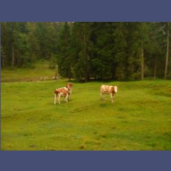 2012-08-25_Regina-F-Rau_Staffelgraben (097).JPG